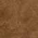 Soft Camel